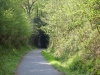 Tunnel on Drake\'s Trail