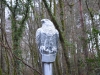 Statue Along Drakes Trail
